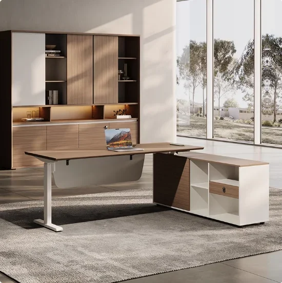 Scrivania Moderna e Semplice p - Office Furniture Logo recensione e prezzo