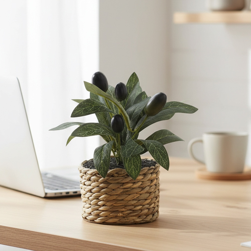 Piante Artificiali, Albero di  - Office Furniture Installation recensione e prezzo